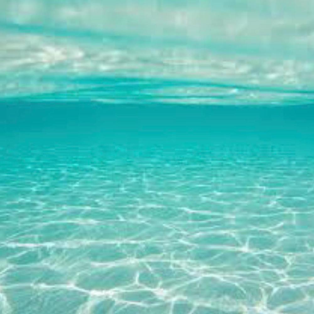 Meet your Posher, Kike